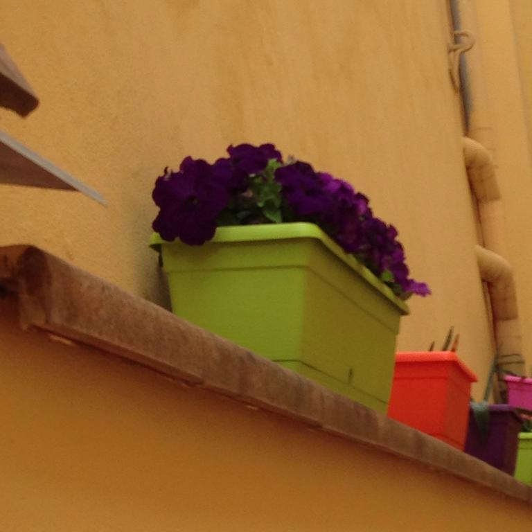 Cosy House Bed & Breakfast Firenze Bagian luar foto